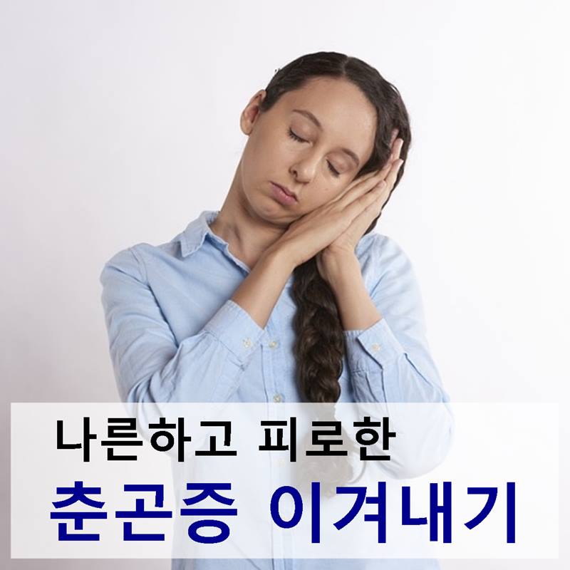 샘플이미지