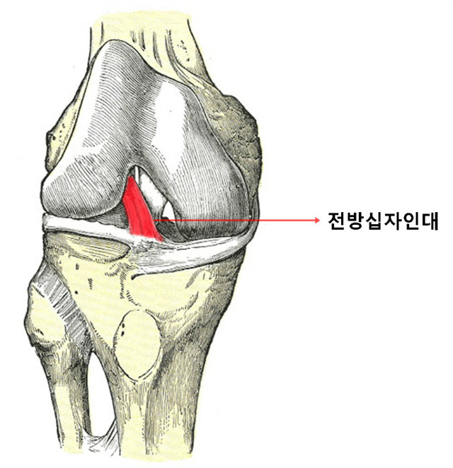 마디사랑병원 - Community > Blog