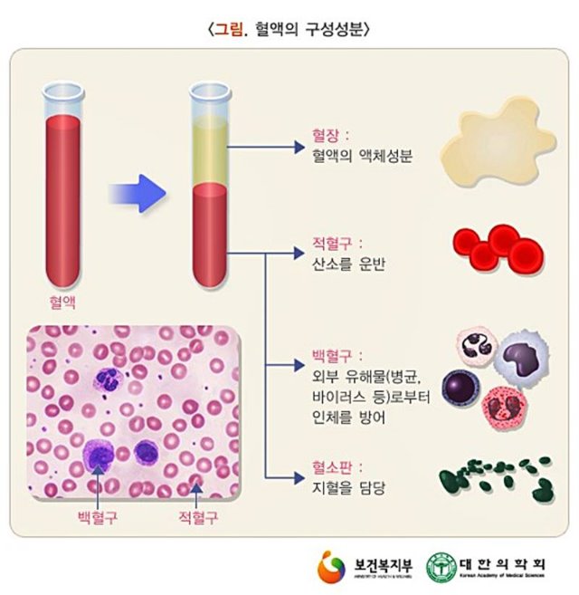 마디사랑병원 - Community > Blog