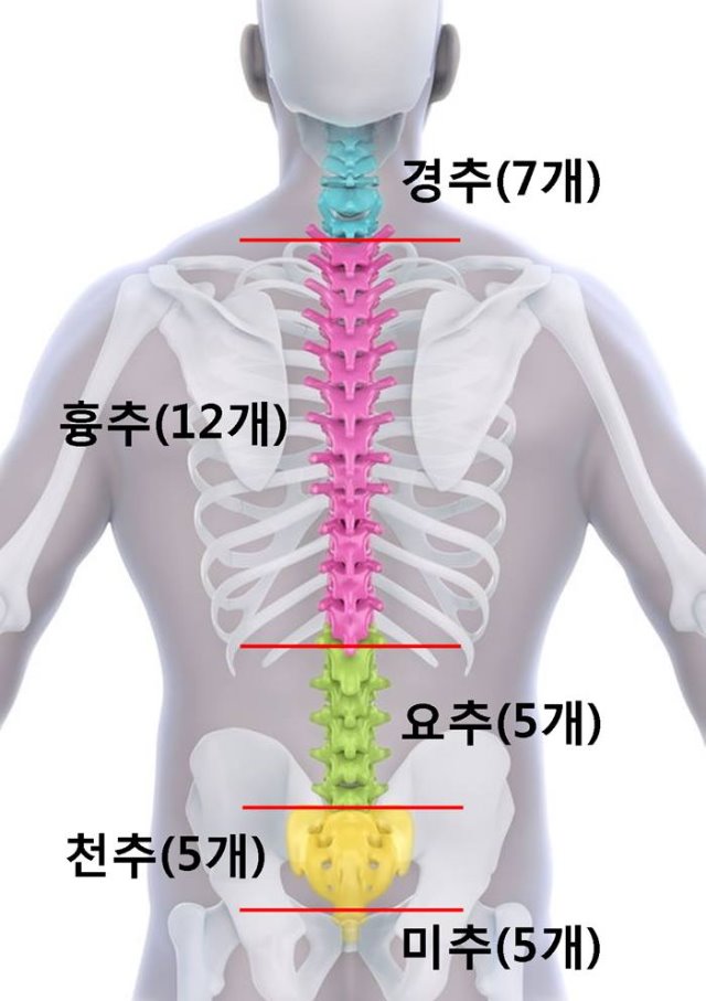 마디사랑병원 ㅣ 관절, 척추, 재활, 줄기세포 - Community > Blog