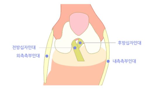 무릎.jpg