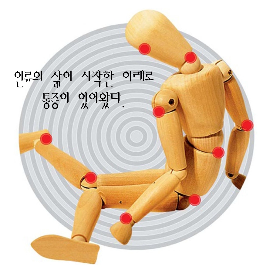 마디사랑병원 - Community > Blog