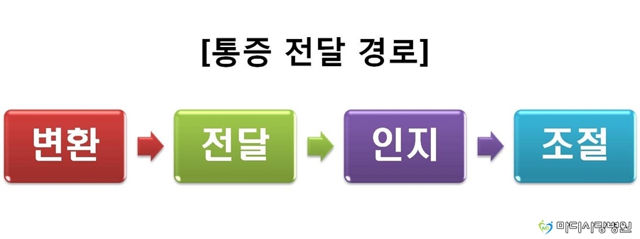 마디사랑병원 - Community > Blog