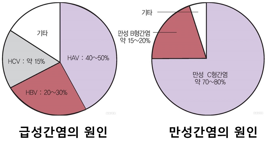 마디사랑병원 - Community > Blog