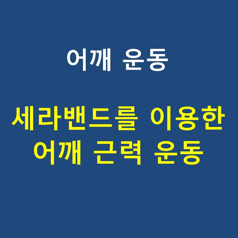 샘플이미지