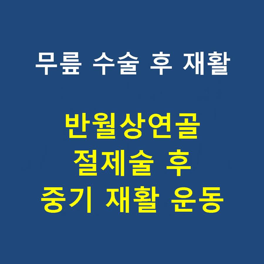 샘플이미지