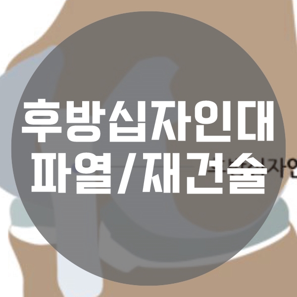 샘플이미지