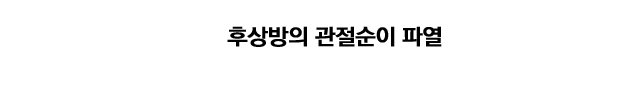 후상방 내측충돌증후군