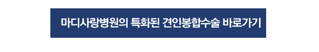 반월상연골 건열파열