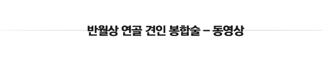 반월상연골 건열파열