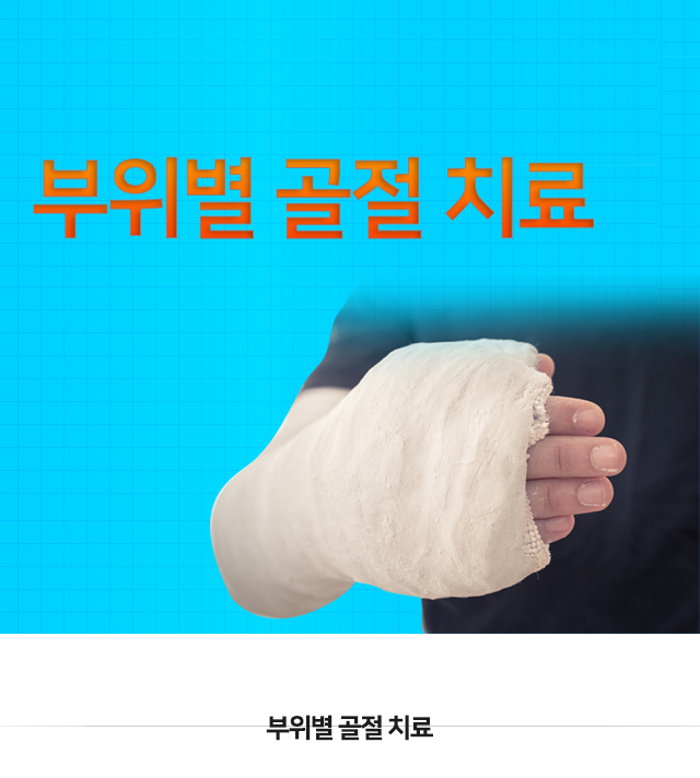 부위별 골절 치료