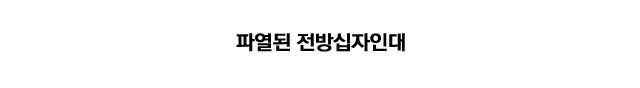 후방십자인대 재건술