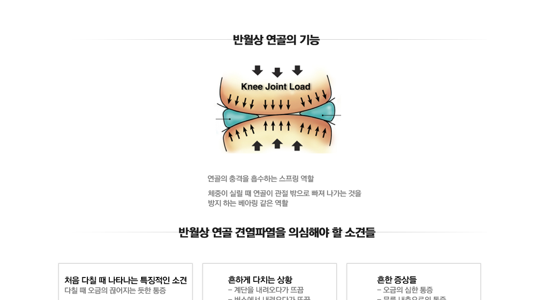 반월상연골 견열파열